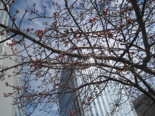 2016_0223_142759-IMG_1936.JPG