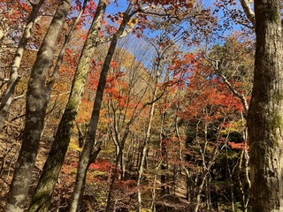 IMG_0451.jpg