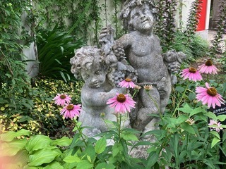 IMG_3230-thumbnail2.jpg