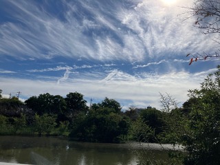 IMG_4193.jpg